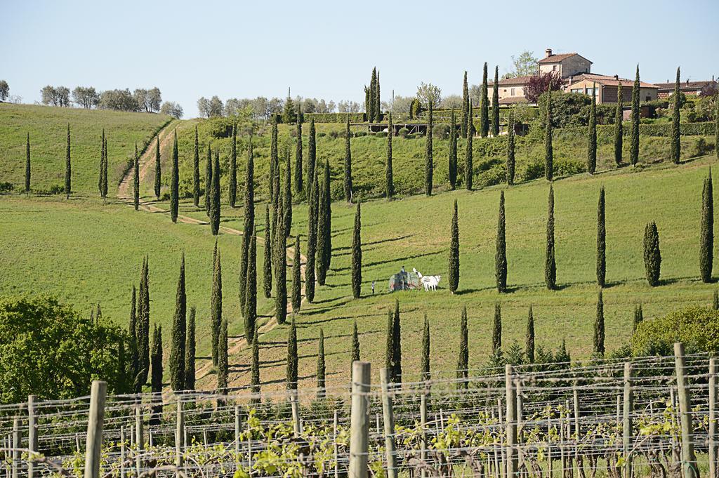 Adalberto San Gimignano Kültér fotó