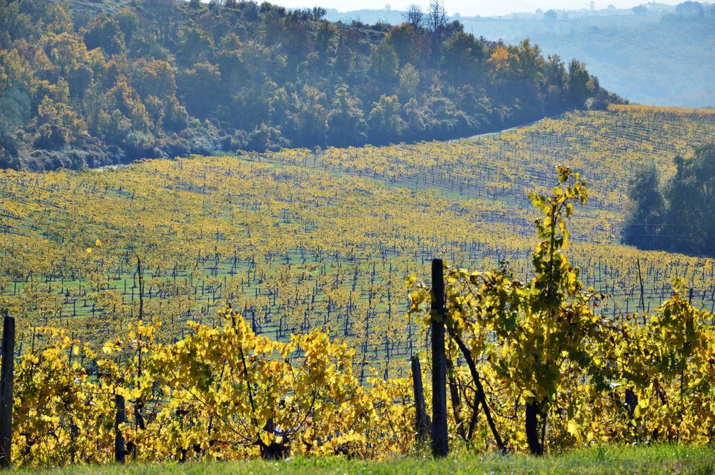 Adalberto San Gimignano Kültér fotó